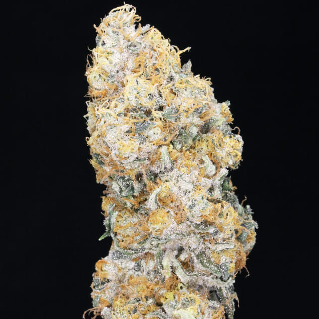 Caramel JAH🍬🍫 (Chem x Haze)