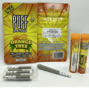 West Coast Treez: Orange Tree Pr