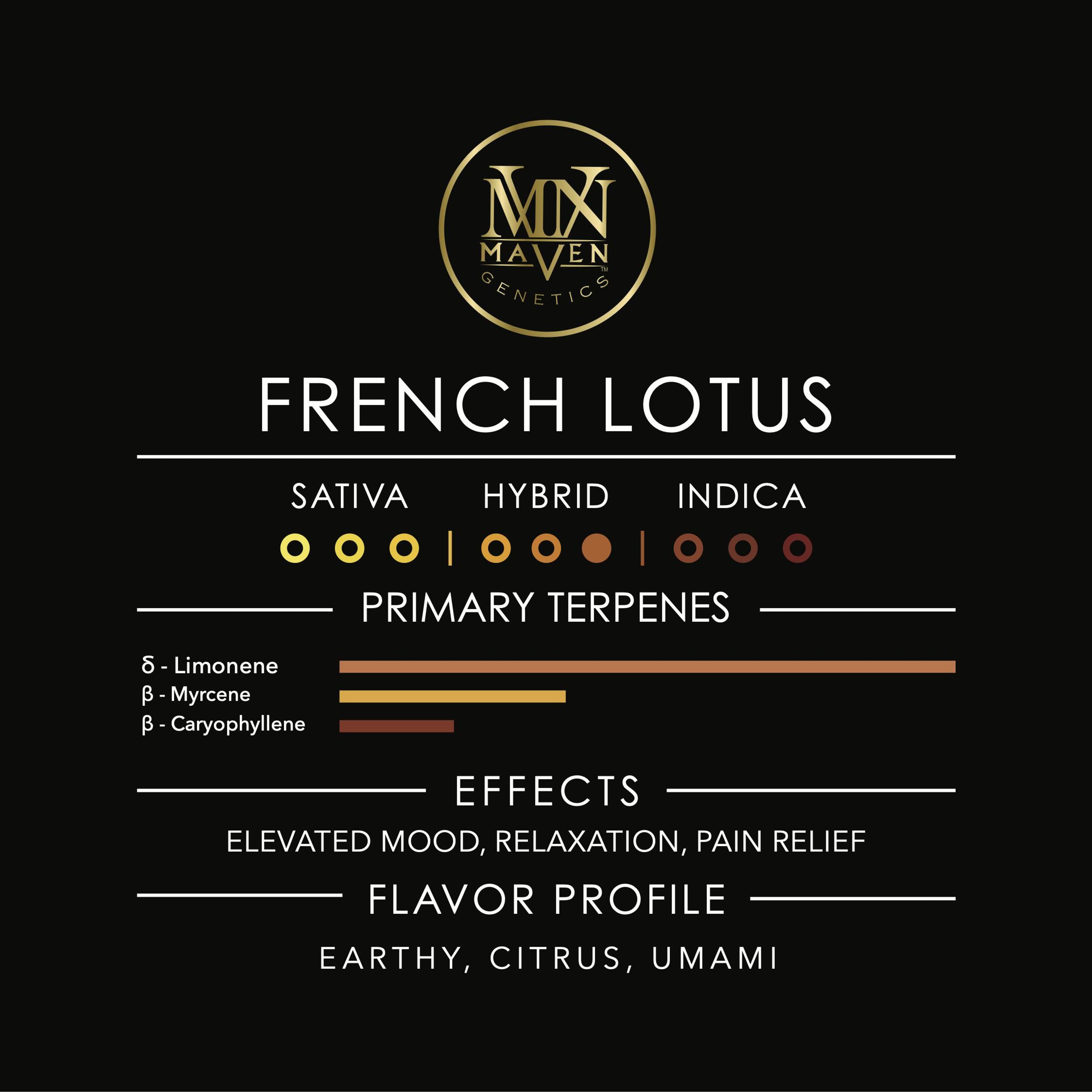 French Lotus 3.5g Flower - Maven Genetics - - $39.61 - Flowers