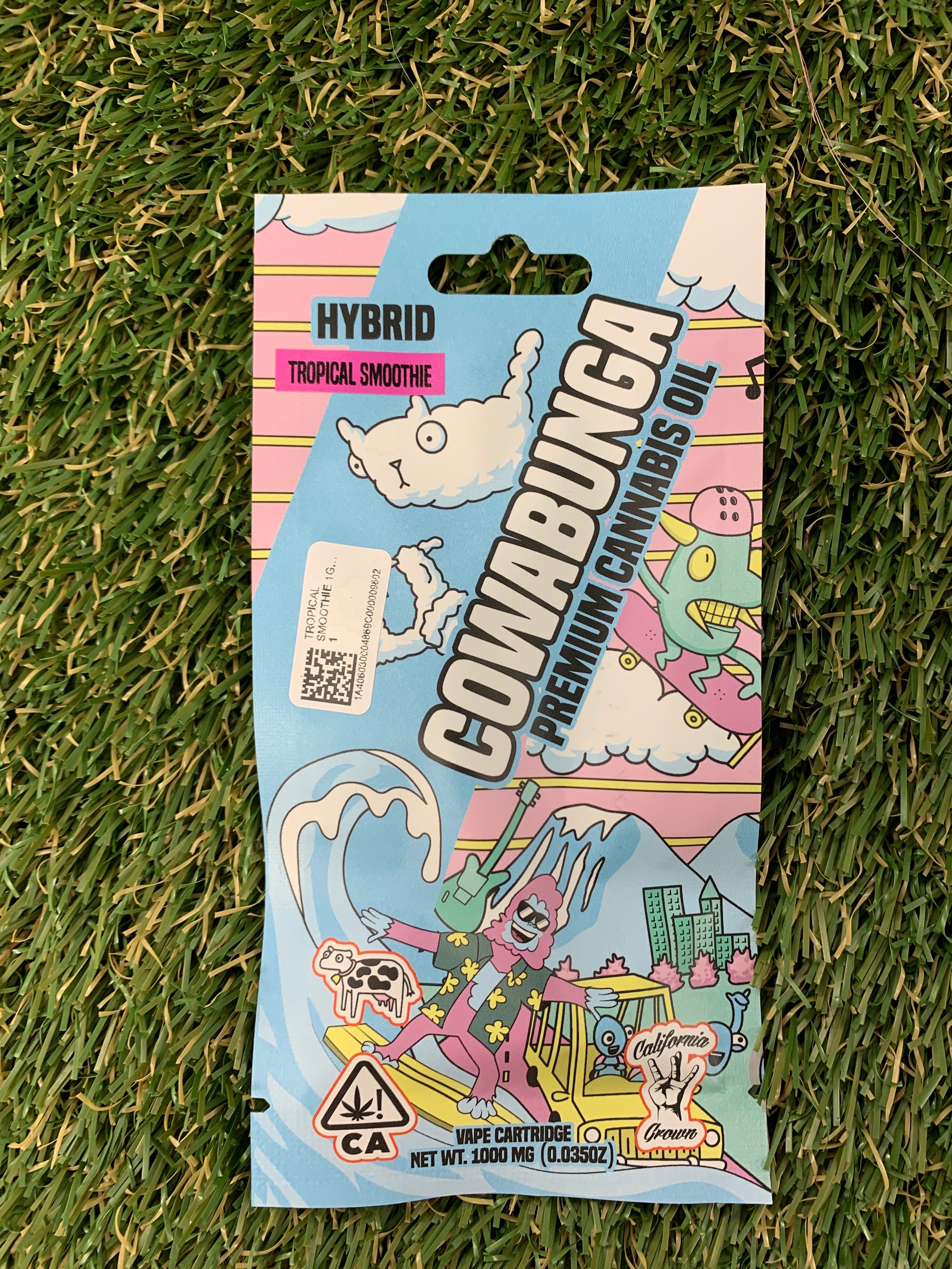 TROPICAL SMOOTHIE 1G REFILL - COWABUNGA -  - $12.90 - Vape Cartridge