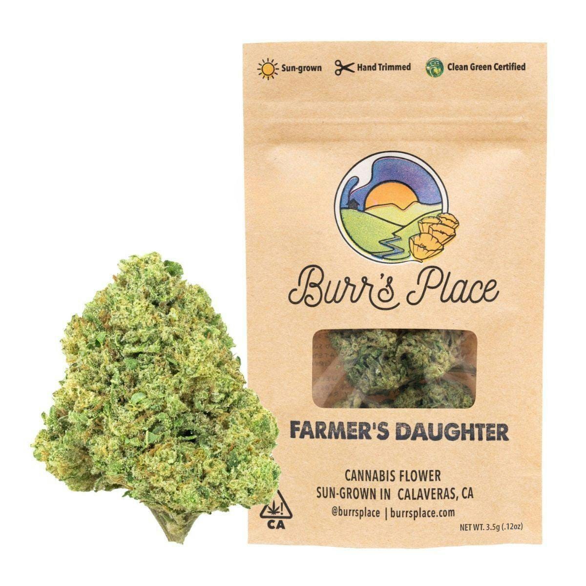 FARMER'S DAUGHTER 3.5G SMALLS - BURR'S PLACE -  - $8.60 - Flower