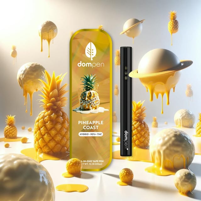 Pineapple Coast 1G Disposable