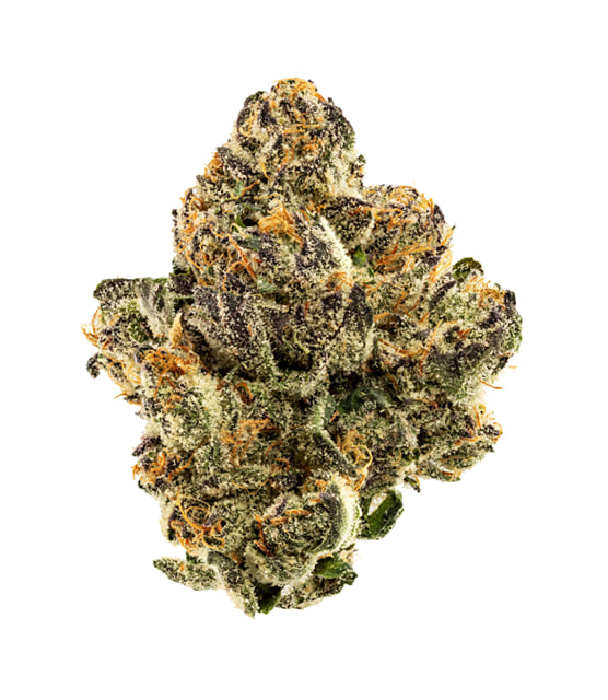 Lemon Cherry Gelato