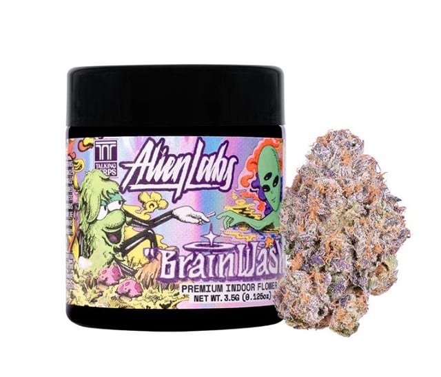 3.5g BRAIN WASH Indoor