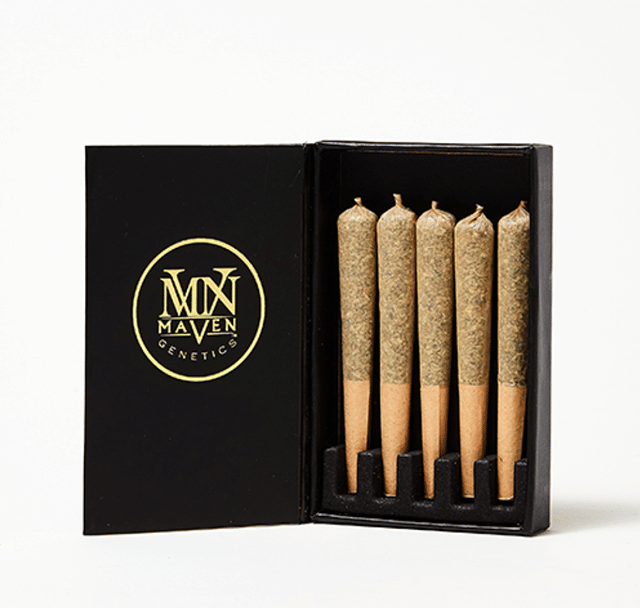 Orange Bellini 5-Pack