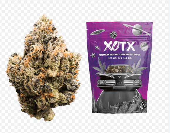 XOTX Bubble Gum Runtz 14G