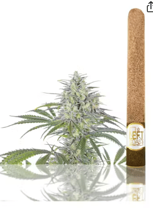 Maui Waui 2G Infused Blunt - Left Coast -  - $16.50 - Pre-Rolls