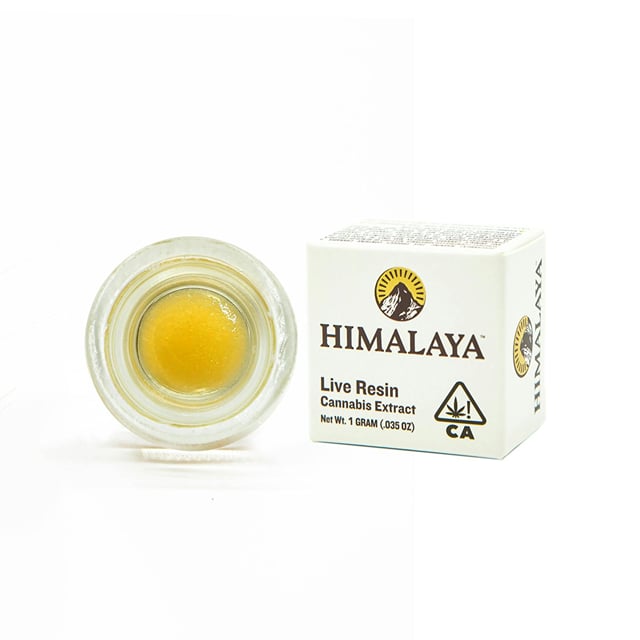 Nectarine Jelly - Terp Sauce Concentrate - 1G