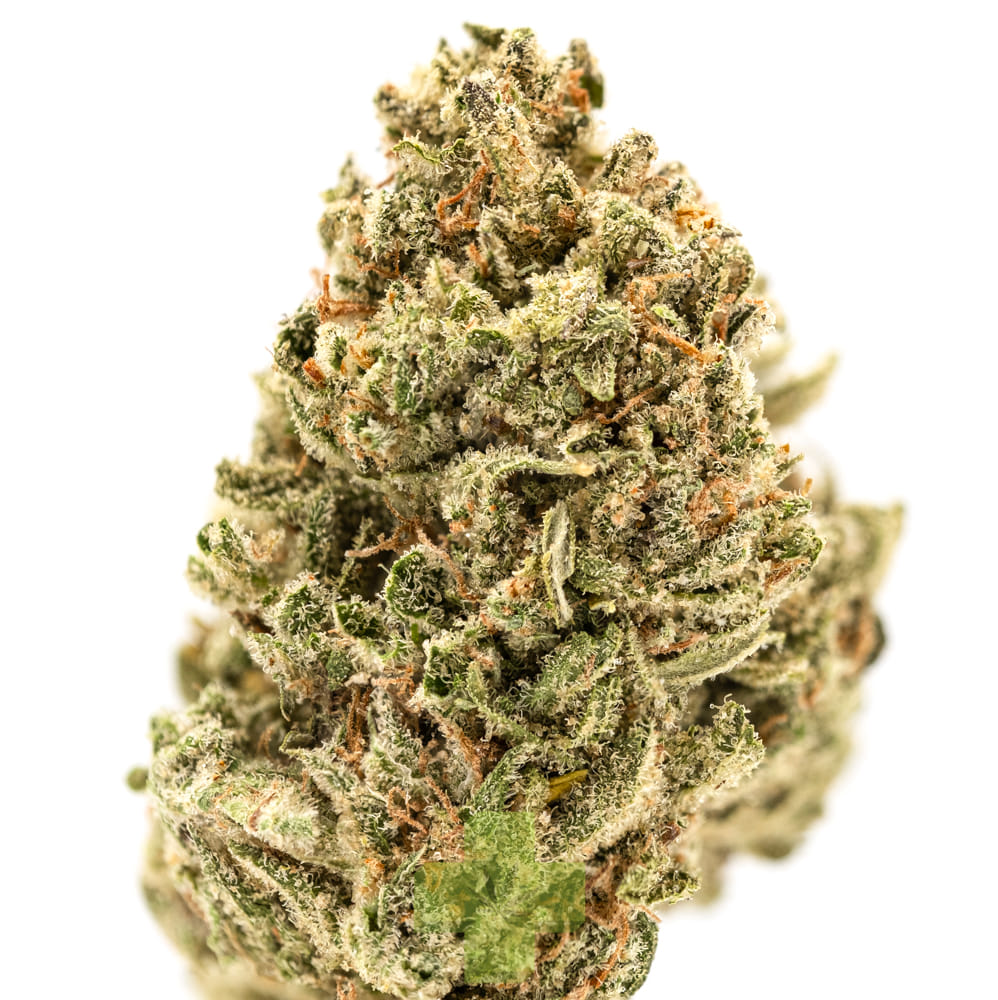 Soma Rosa: Blue Dream, Sg
