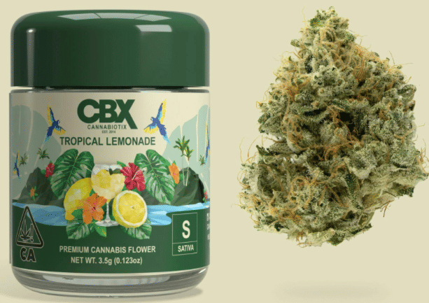 Tropical Lemonade