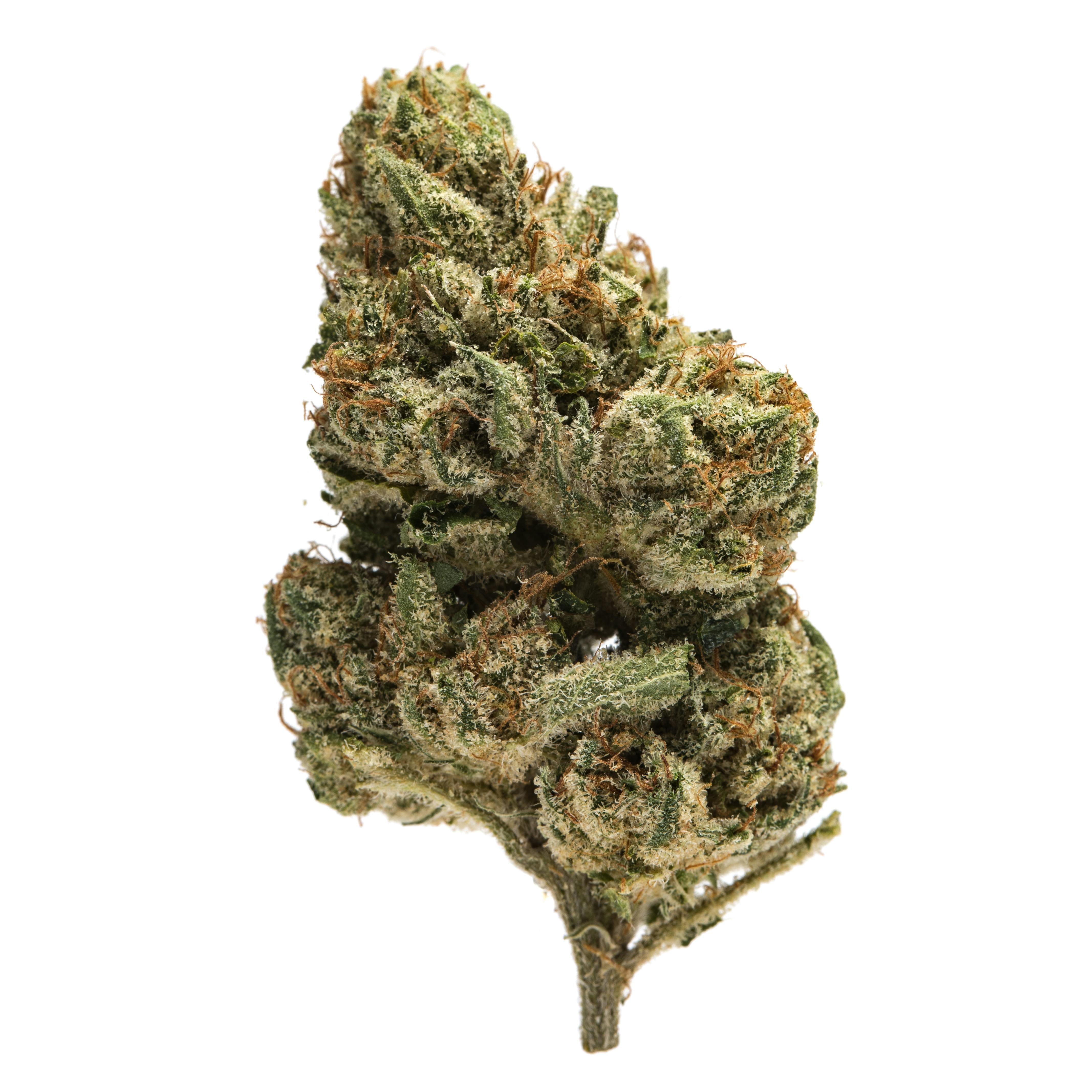 Nameless OG 19.1% - 7G Smalls - Nameless Genetics - Nameless OG (I) - $79.99 - Flower