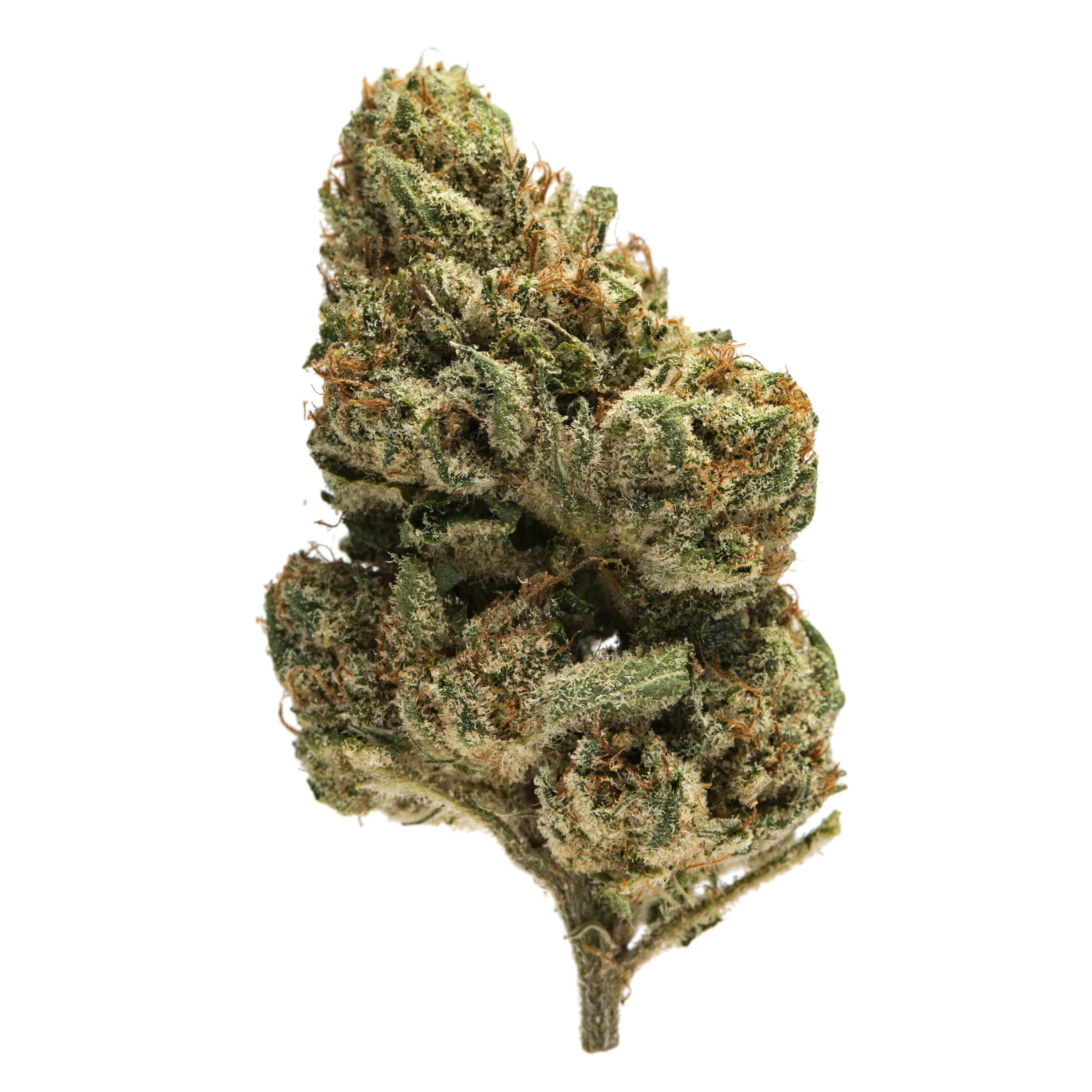 Nameless OG 19.1% - 7G Smalls - Nameless Genetics - Nameless OG (I) - $79.99 - Flower