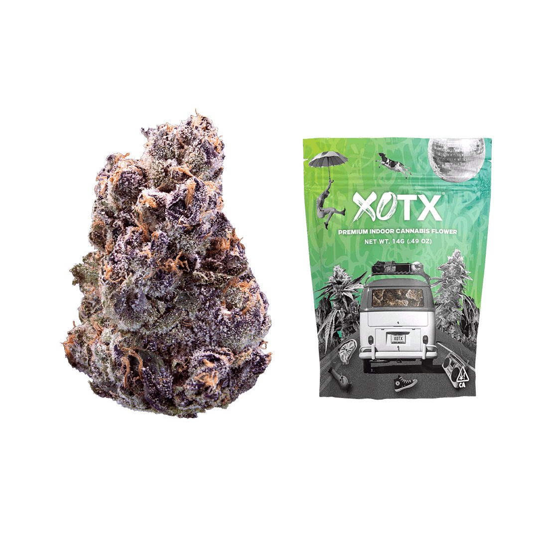 Maraschino Lemon Pop 14G - XOTX -  - $57.62 - Flowers