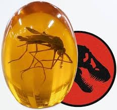 NN - Dino Amber - Premium Cannabis Shatter