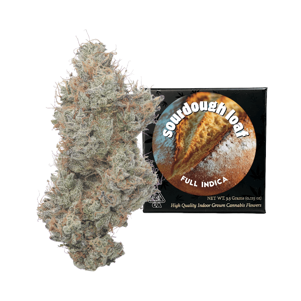 Team Elite Genetics — Sourdough Loaf 1g Preroll