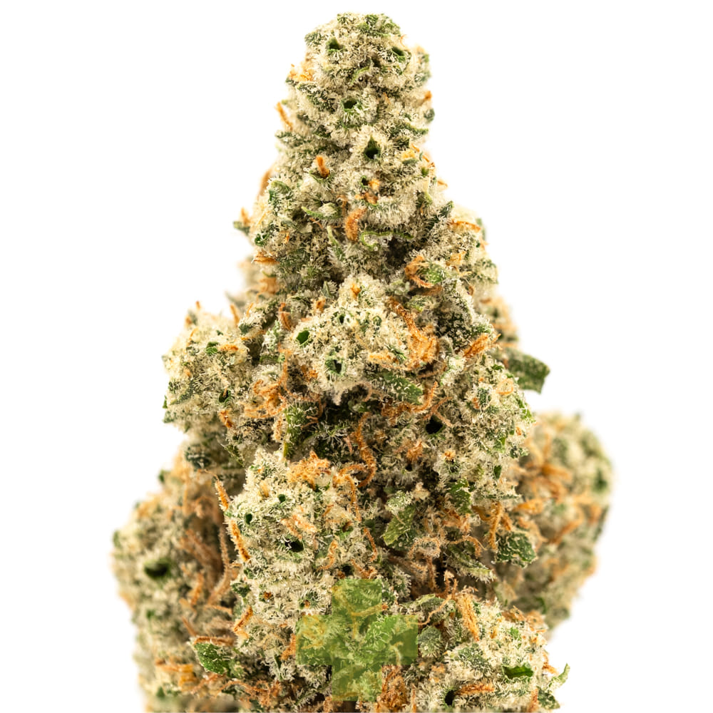 Alien Labs — Xj-13