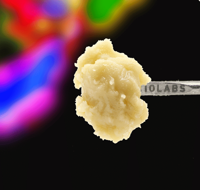 Guava Persy Badder - 1g