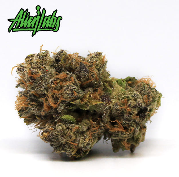 Alien Labs - Brainwash - 3.5g - Alien Labs -  - $49.99 - Indoor Flowers