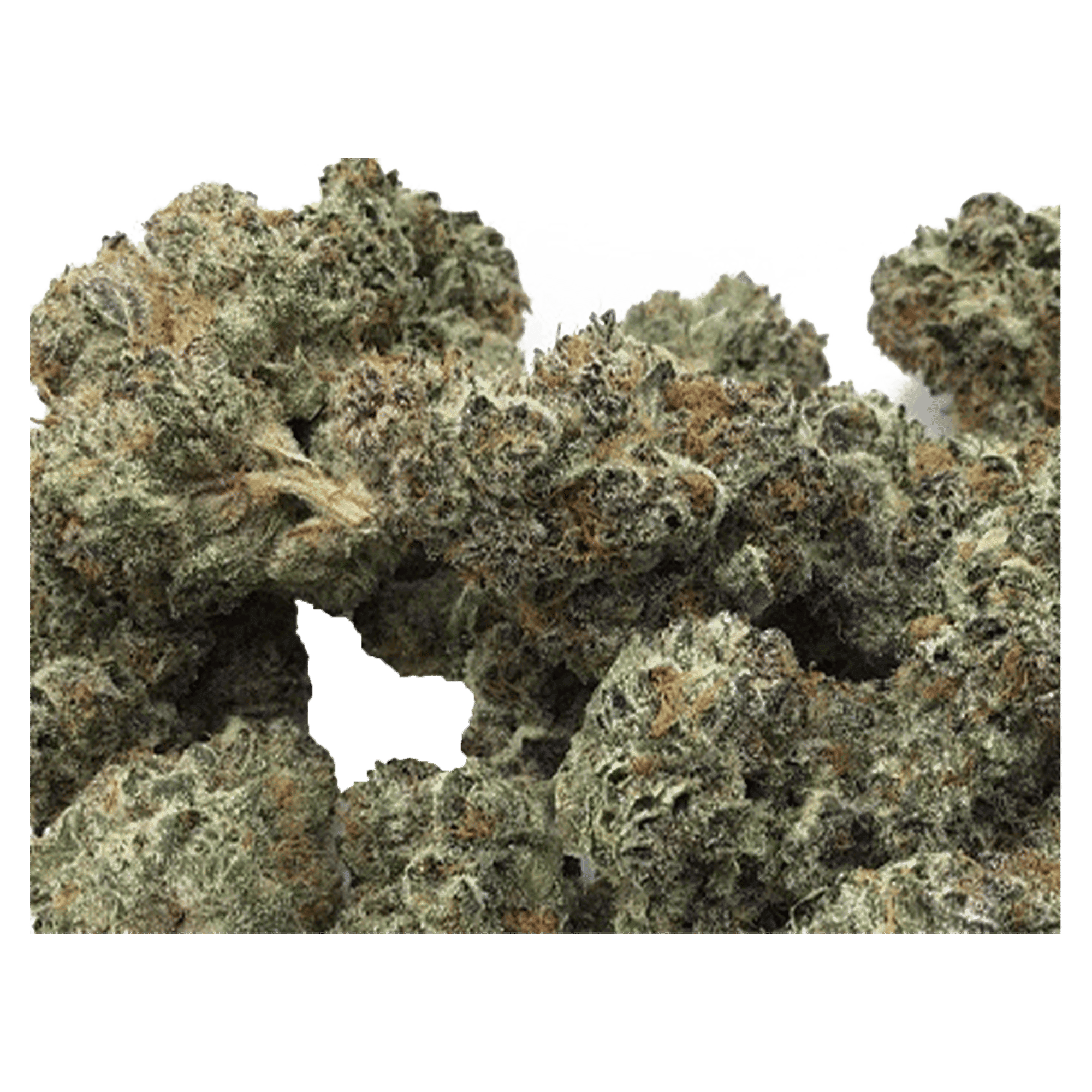 Purple Tangie - Jar - Indoor Flower - UpNorth - Eighth - $49.99 - Flower