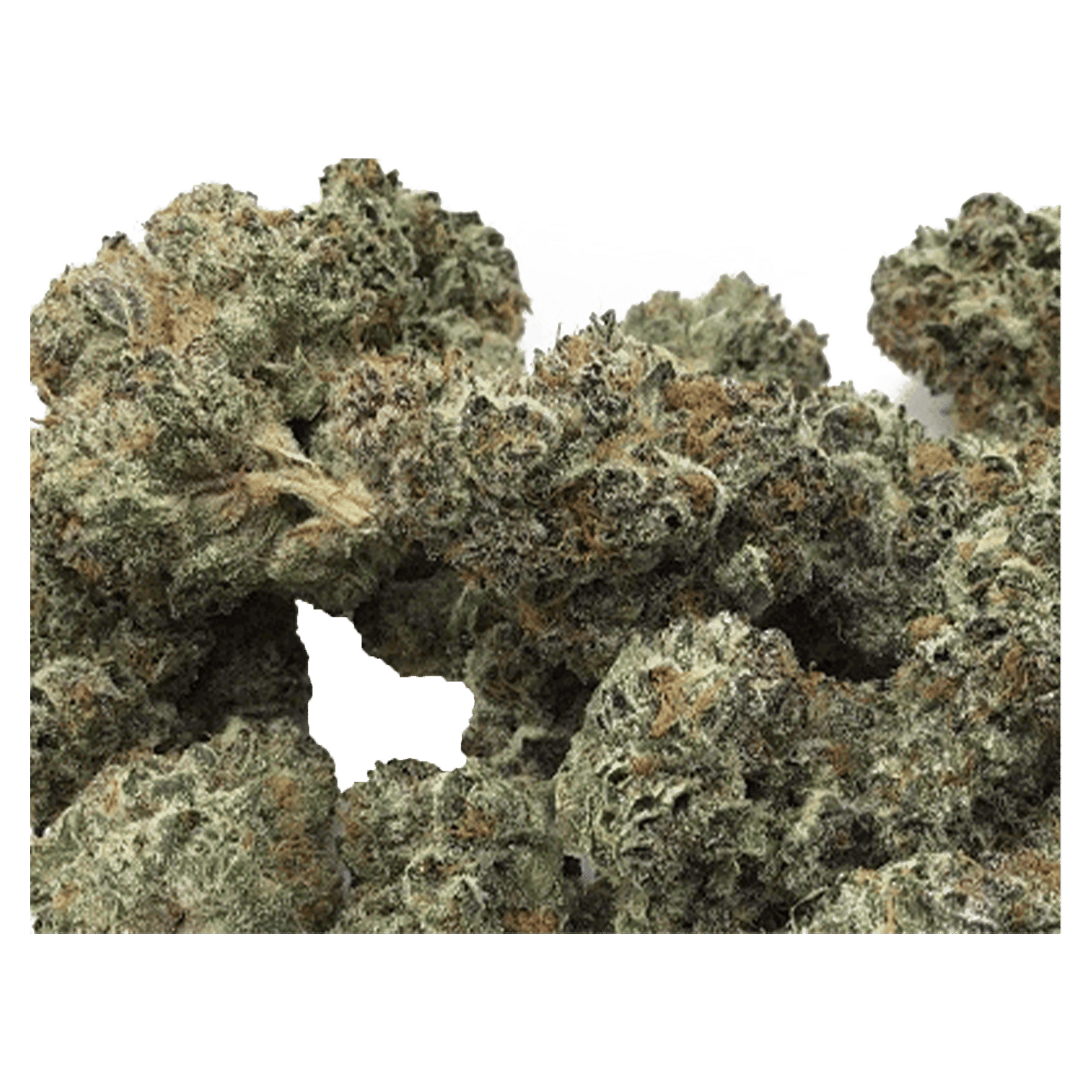 Purple Tangie - Jar - Indoor Flower - UpNorth - Eighth - $49.99 - Flower