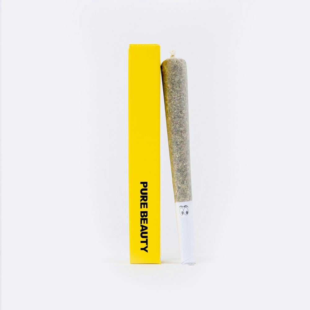 Loyalty - Crescendo (S) - 1g Indoor preroll - Pure Beauty -  - $0.01 - Preroll
