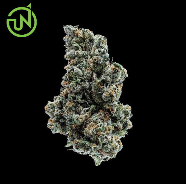 UpNorth - Durban Poison - 3.5g - UpNorth - 3.5g - $43.99 - Indoor Flowers