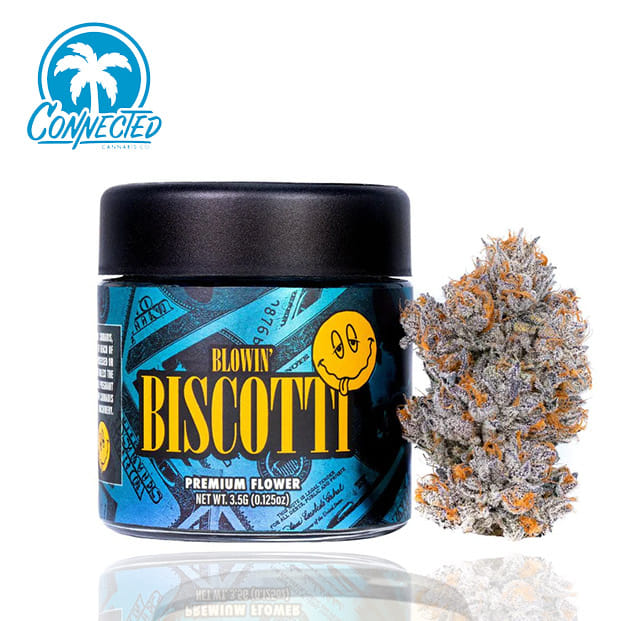 Connected — Biscotti