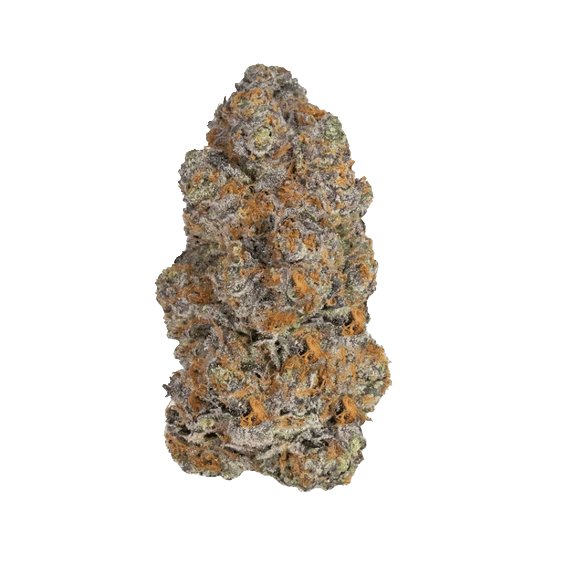 Biscotti - 40's Infused Flower - STIIIZY - Quarter - $48.99 - Flower