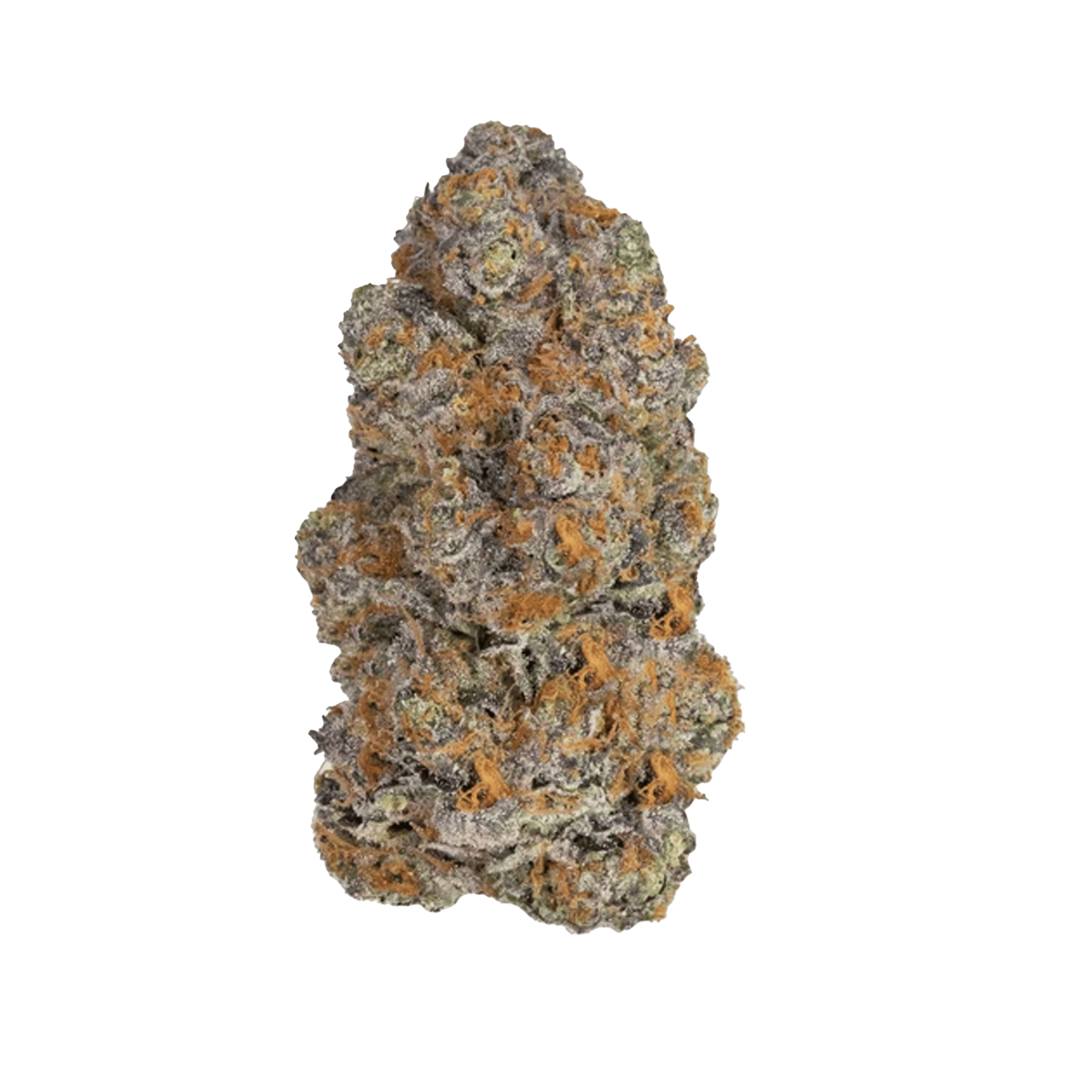 Biscotti - 40's Infused Flower - STIIIZY - Quarter - $48.99 - Flower