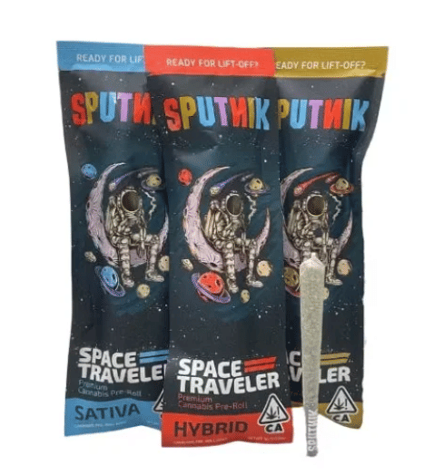 Sputnik: Space Traveler