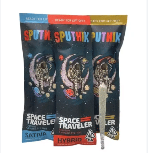 Sputnik: Space Traveler