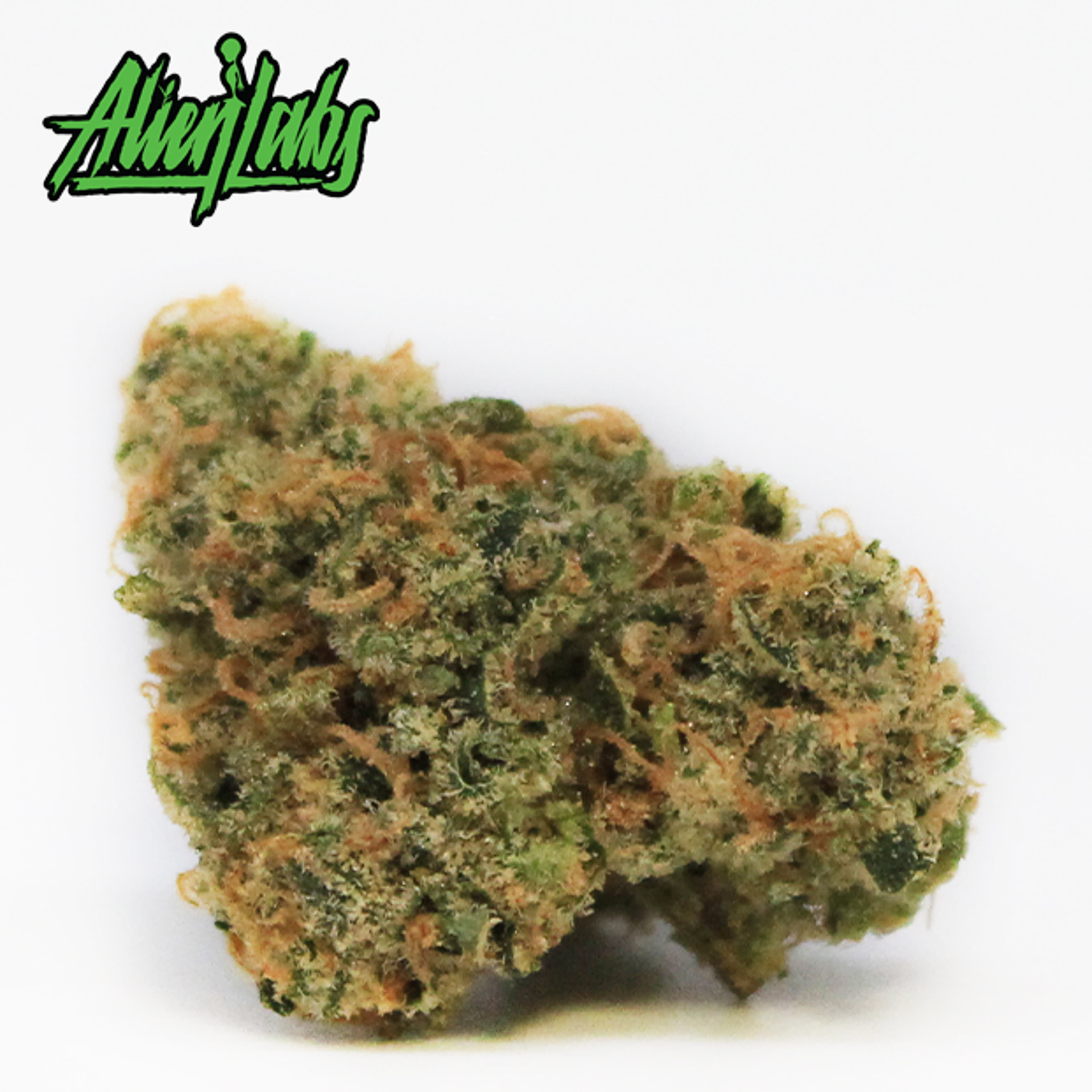 Alien Labs - XJ-13 - 3.5g - Alien Labs - XJ13 - $49.99 - Indoor Flowers