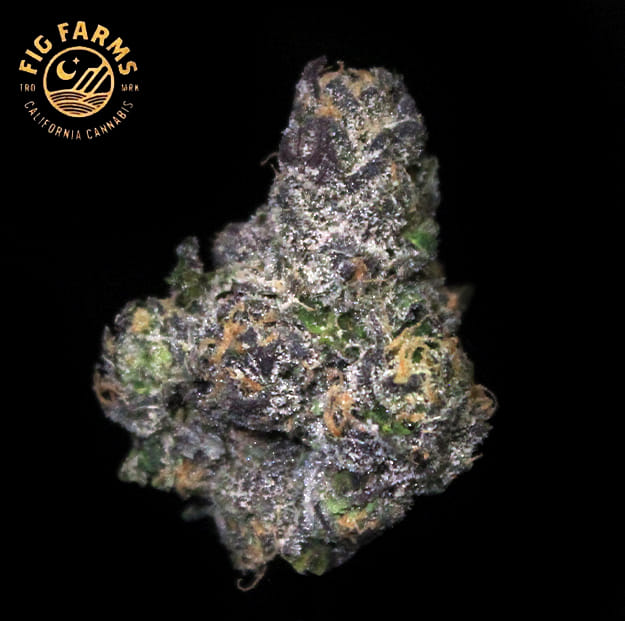 Fig Farms - Cherry Martinelli - 3.5g - Fig Farms -  - $42.99 - Indoor Flowers