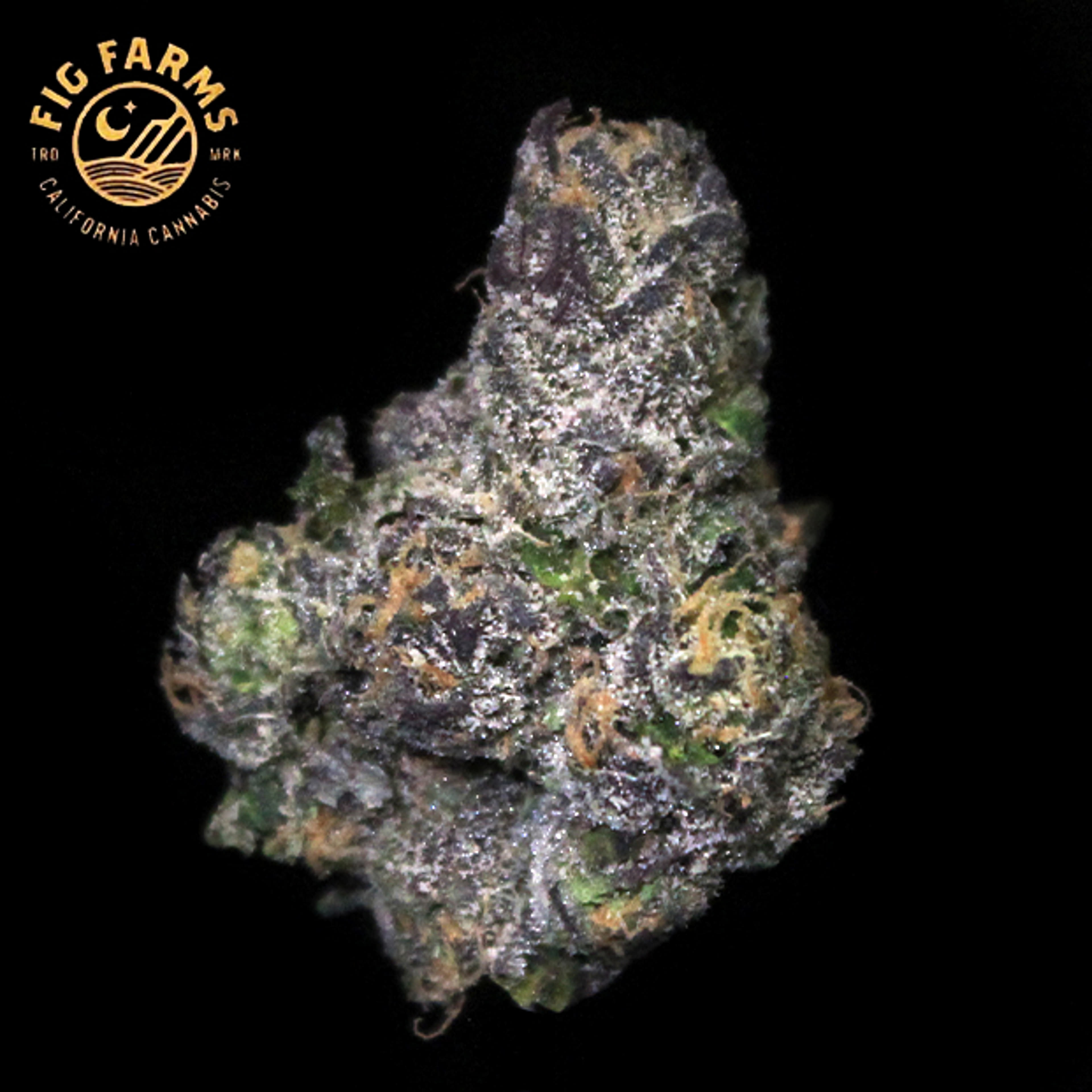 Fig Farms - Cherry Martinelli - 3.5g - Fig Farms - - $42.99 - Indoor Flowers