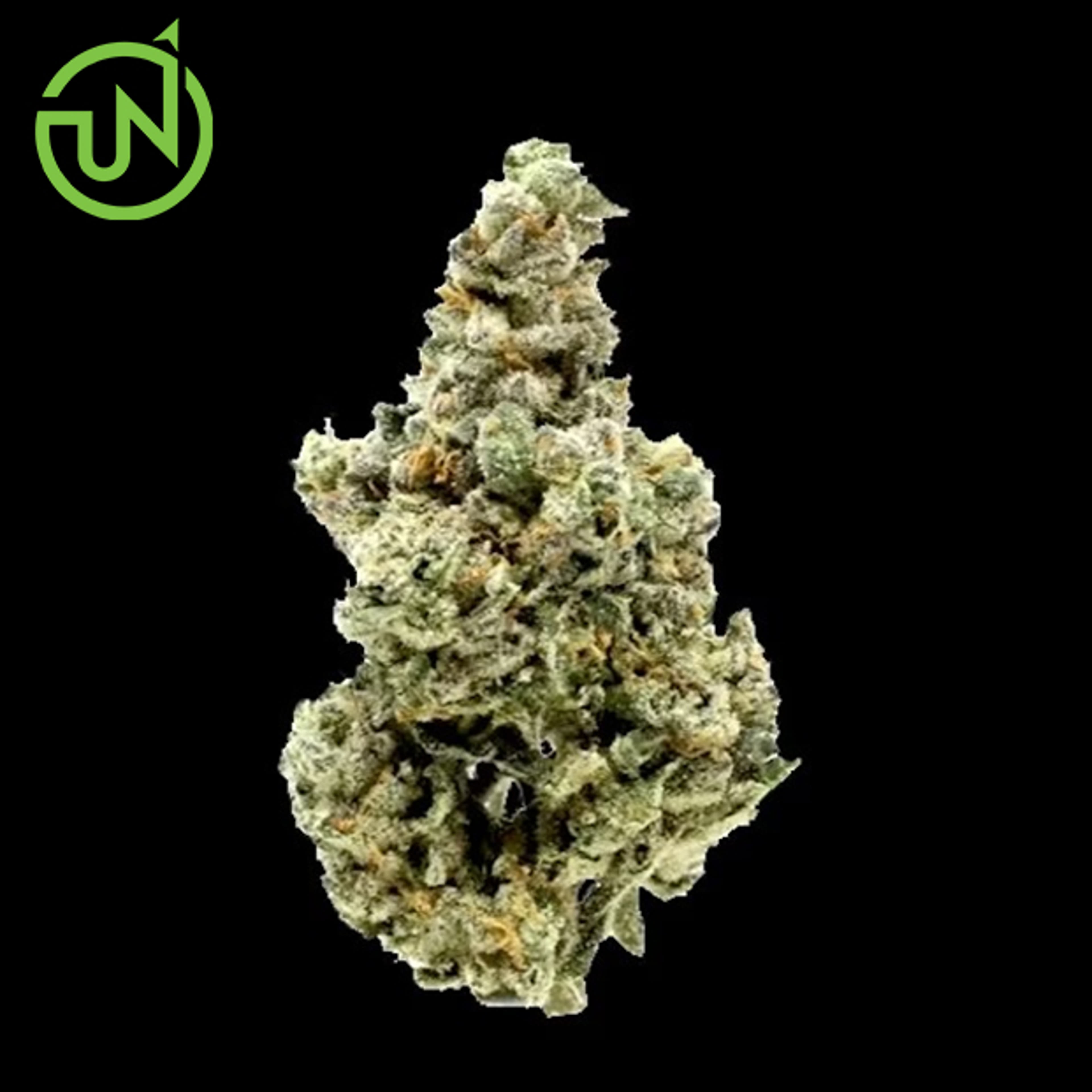 UpNorth - Pineapple Express - 3.5g - UpNorth - 3.5g - $43.99 - Indoor Flowers