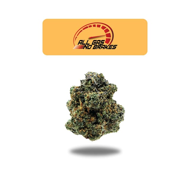 7g All Gas No Brakes Flower