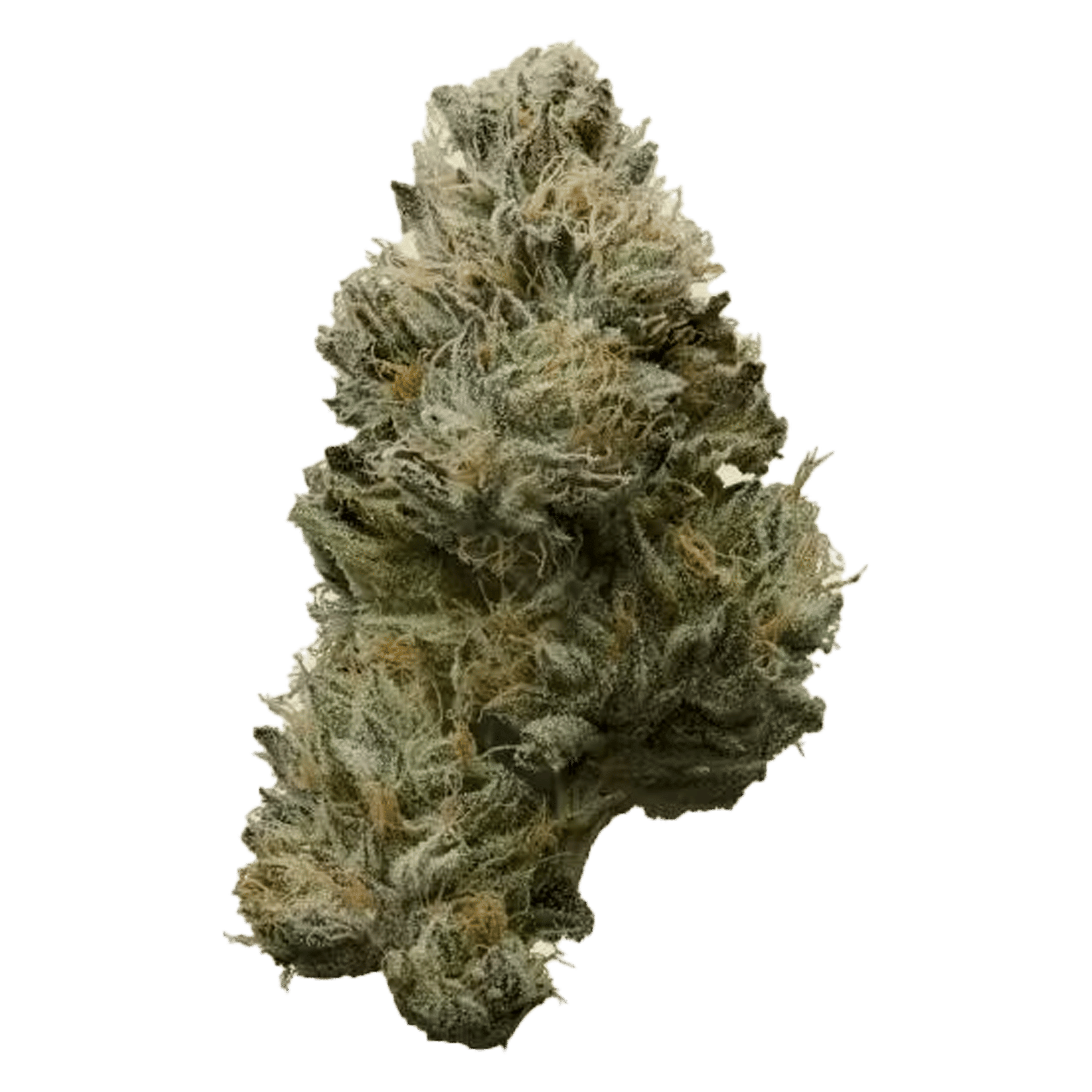 Grape Gasby - Flower - CBX Cannabiotix - Eighth - $54.99 - Flower