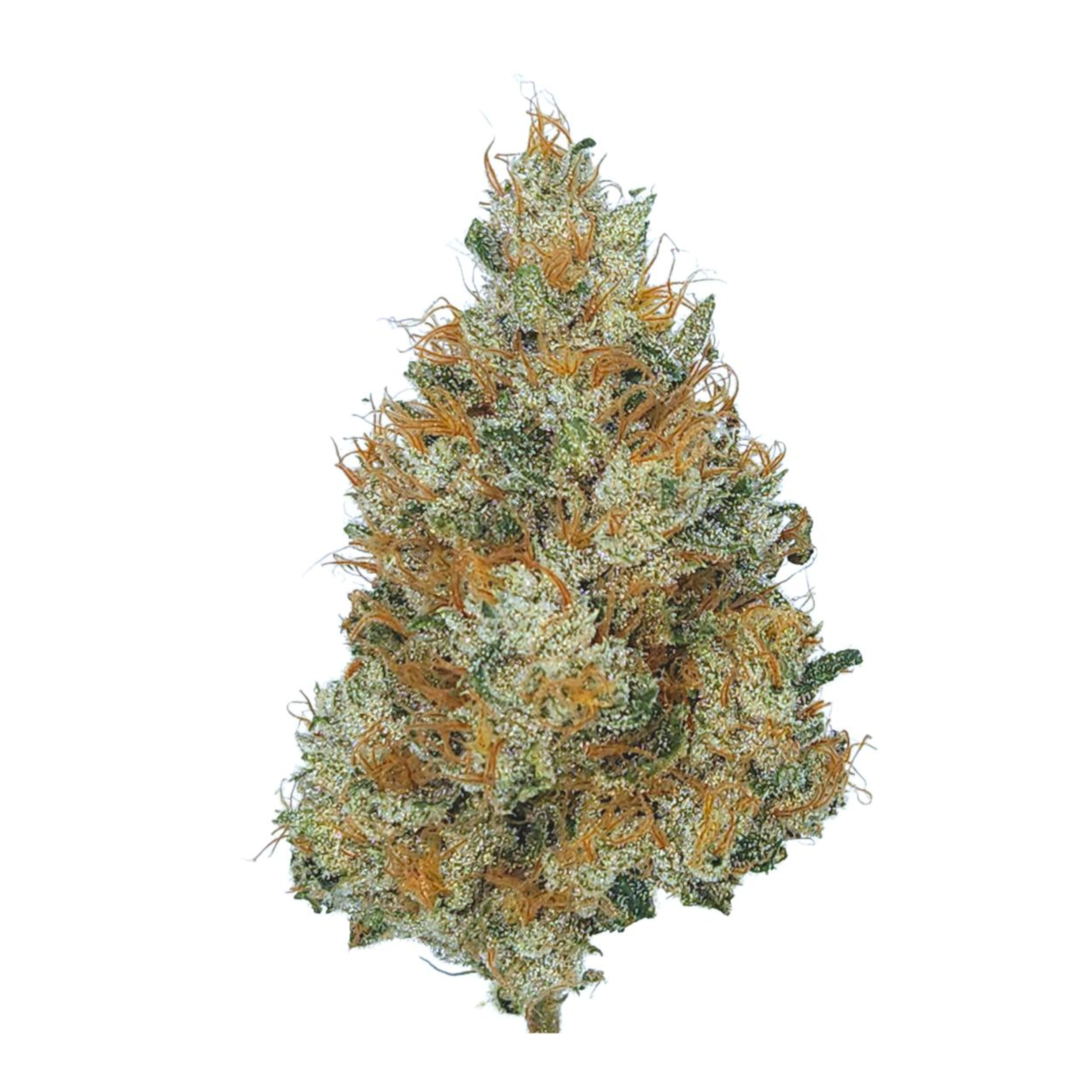 Sour Durban - 3.5g - Sense Grown - 3.5 - Sativa - $51 - Flower/Infused Flower (3.5 Grams)