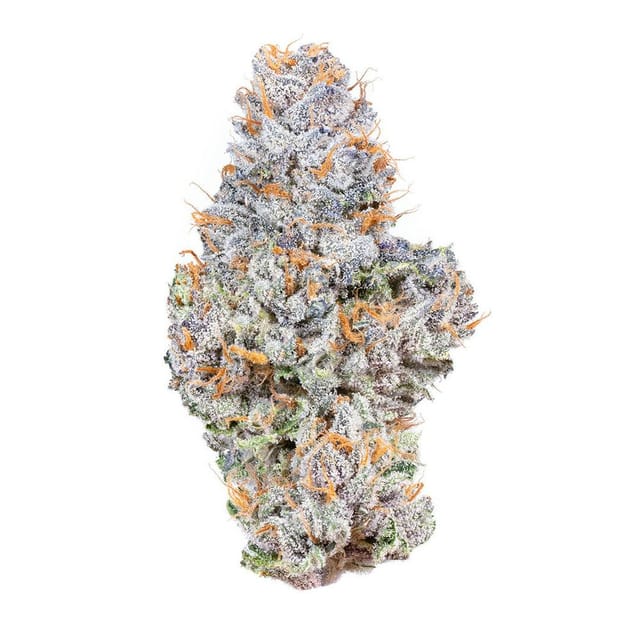 Gelato 41 - Indoor