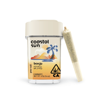 Coastal Sun: Banjo