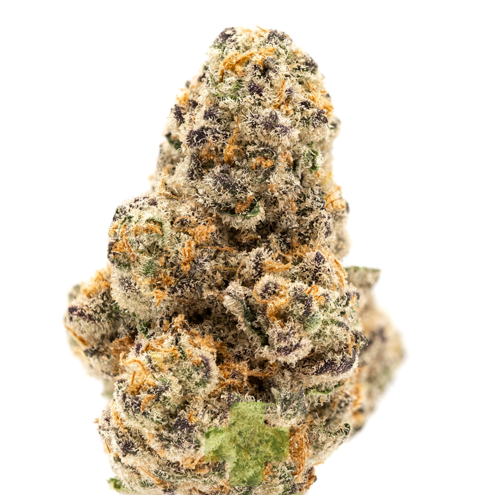 Biscotti: Glitter Bomb