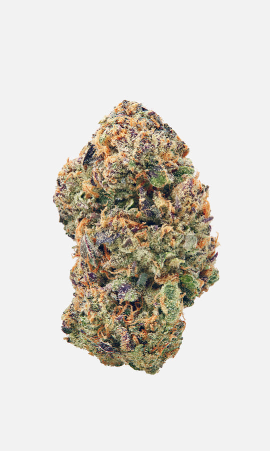 Watermelon Z - Daze Off - Eighth - $35 - Flowers