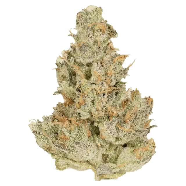 GM-UhOh - Premium Flower