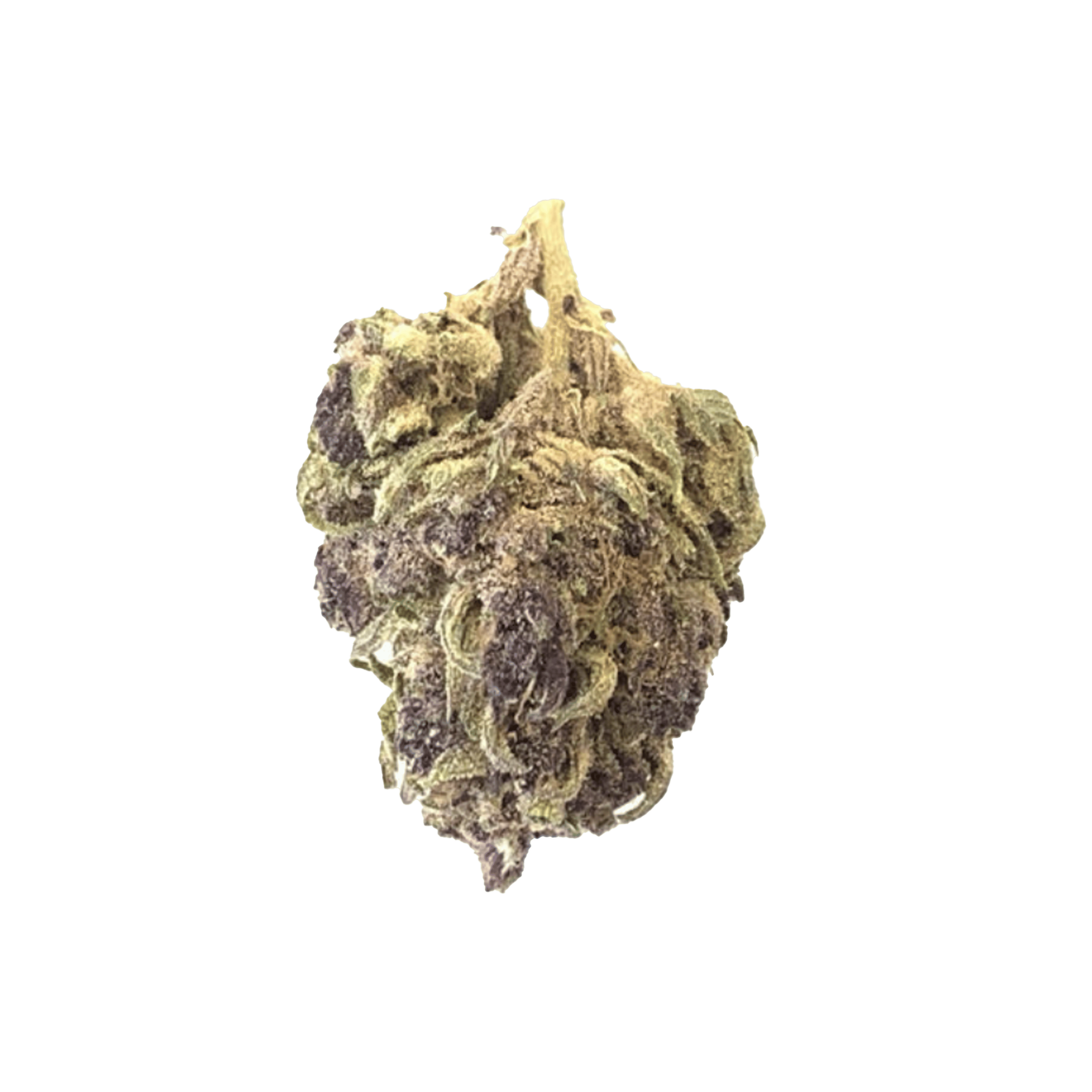 Street Tarts - Flower - Brite Labs - Eighth - $14.99 - Flower