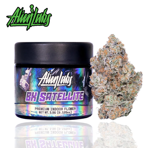 Alien Labs — BK Satellite