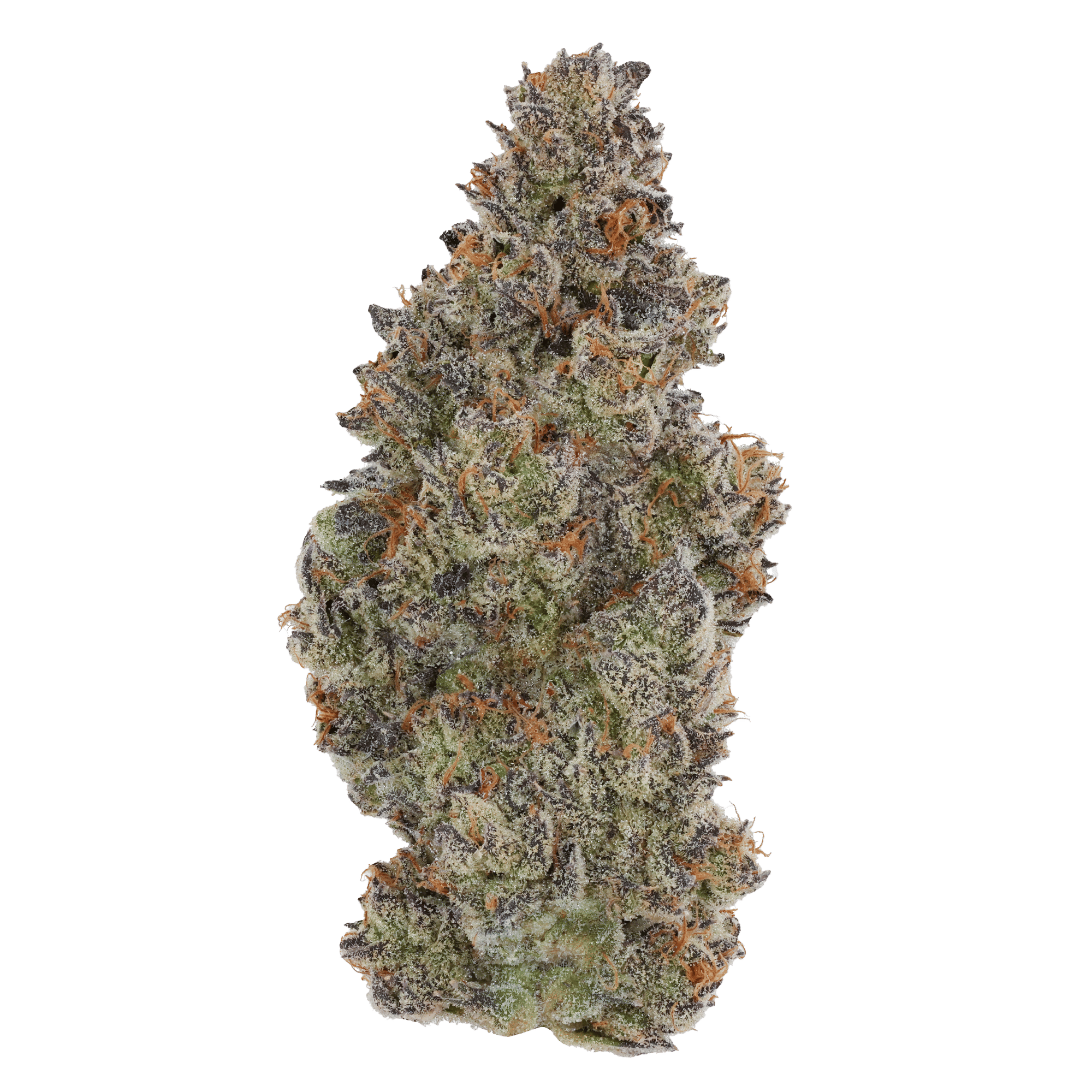 Kronuts - Jar - Indoor Flower - Fig Farms - Eighth - $49.99 - Flower