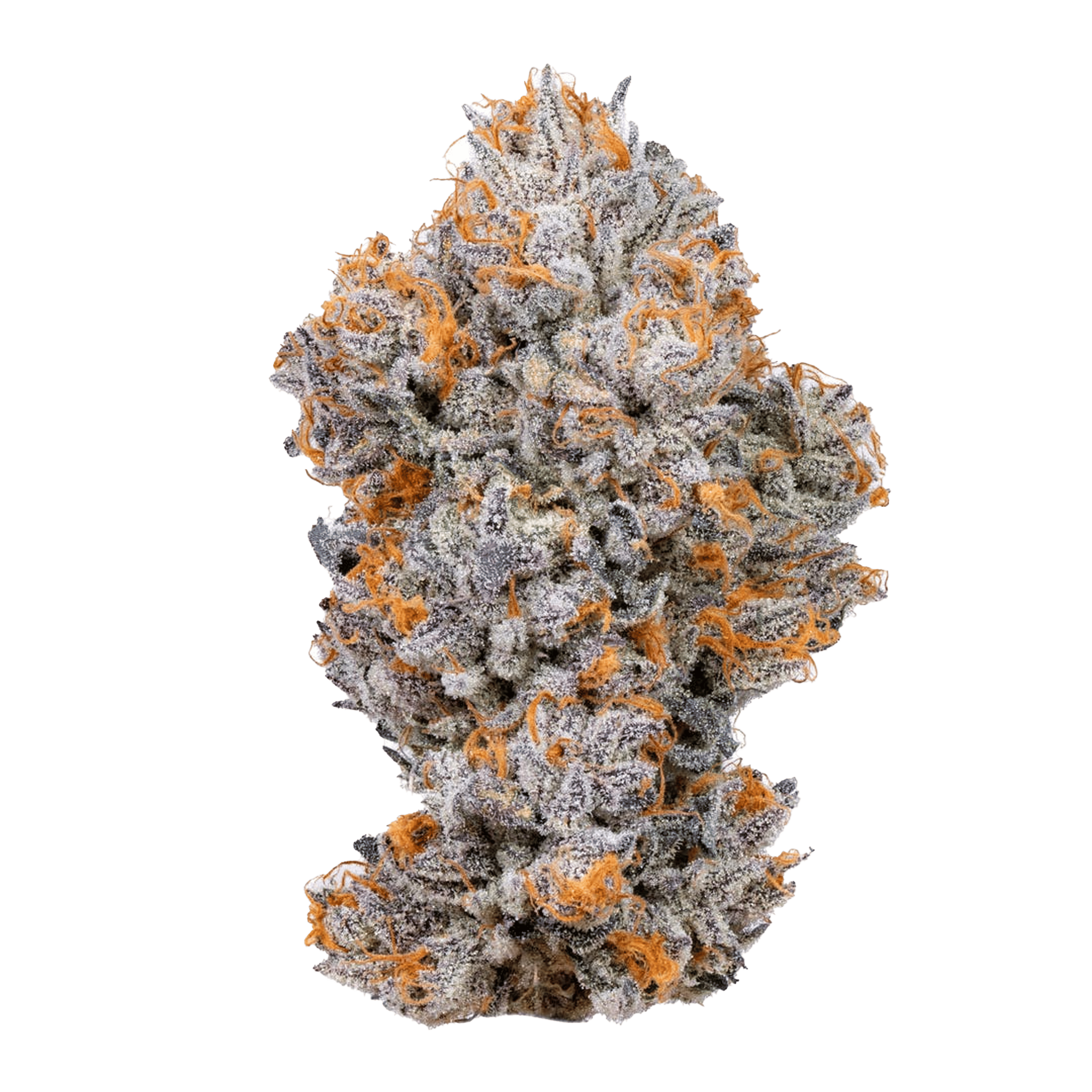 Biscotti - Flower - Connected Cannabis Co. - Eighth - $49.99 - Flower