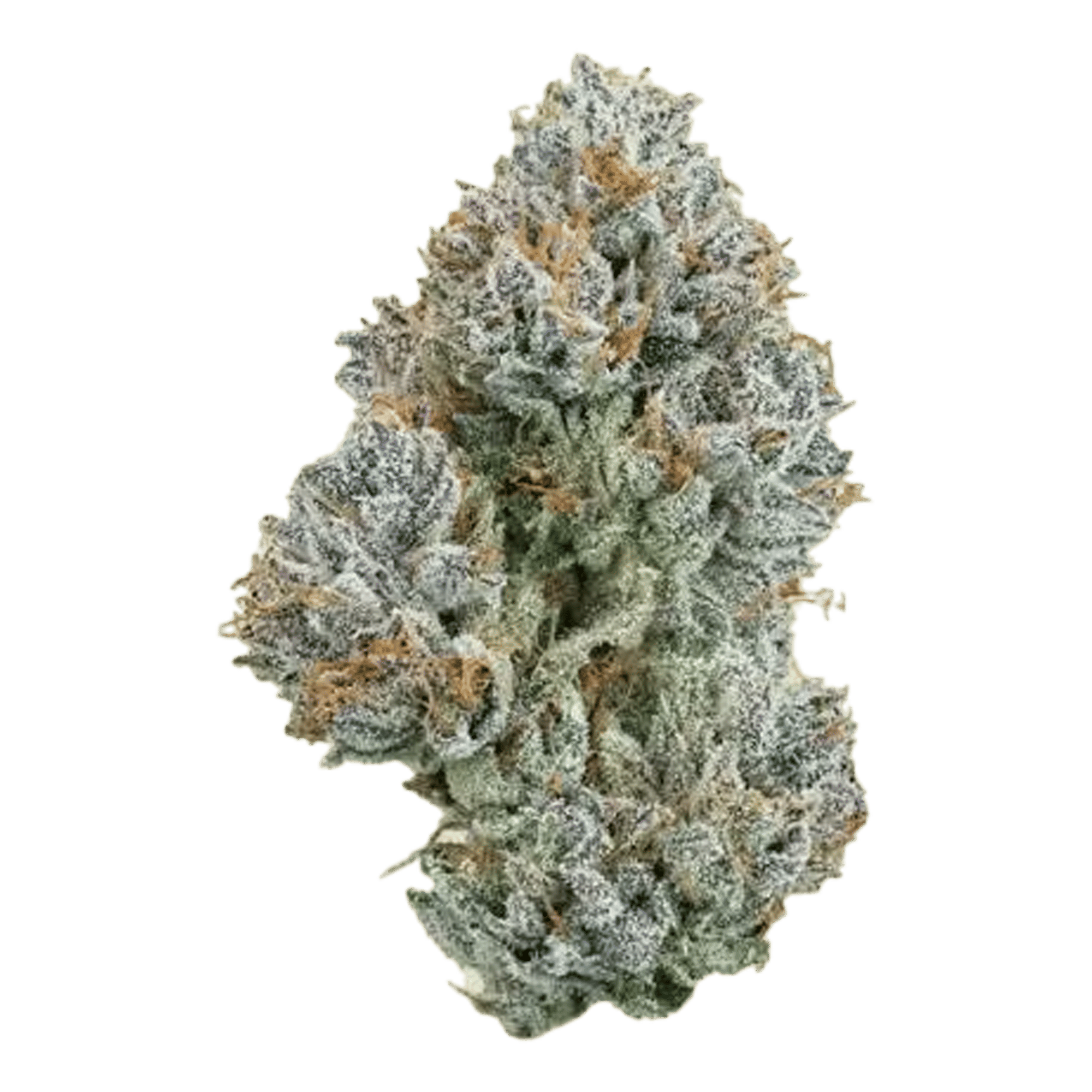 Kush Mountains - Flower - CBX Cannabiotix - Eighth - $54.99 - Flower