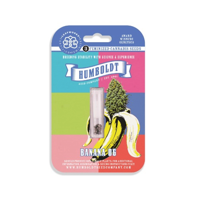 Banana OG Cannabis Seeds ( Feminized 3pk)