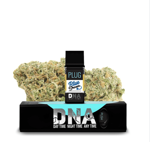 PlugPlay — Blue Dream
